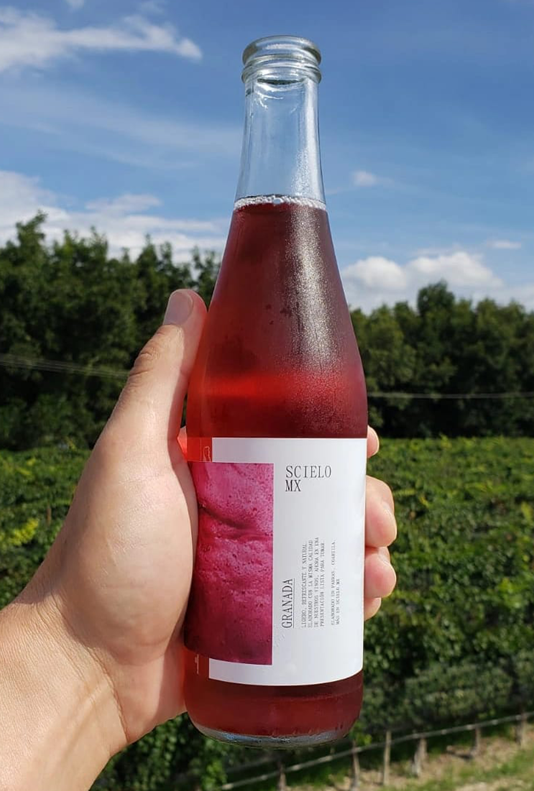 Un traguito del Scielo