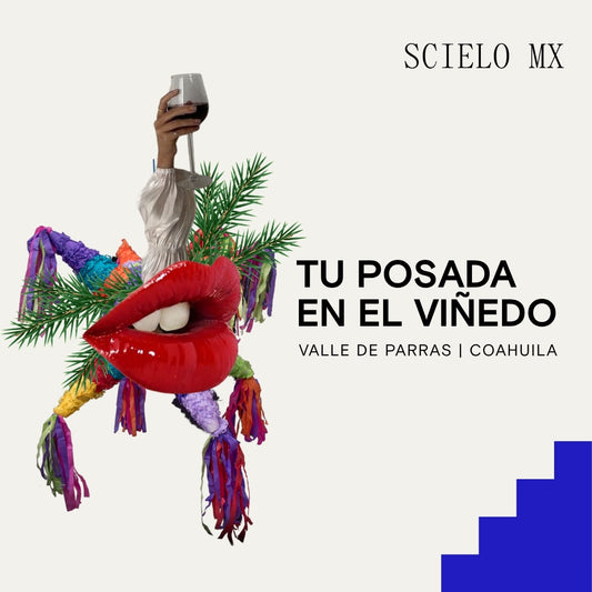 BRINDIS NAVIDEÑO SCMX