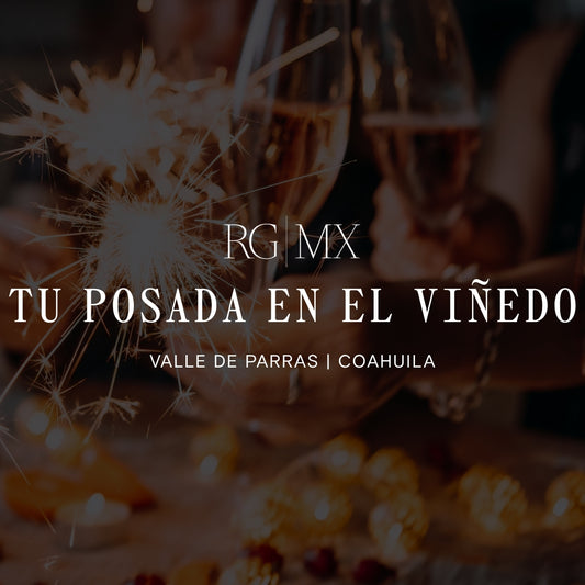 CENA NAVIDEÑA RGMX