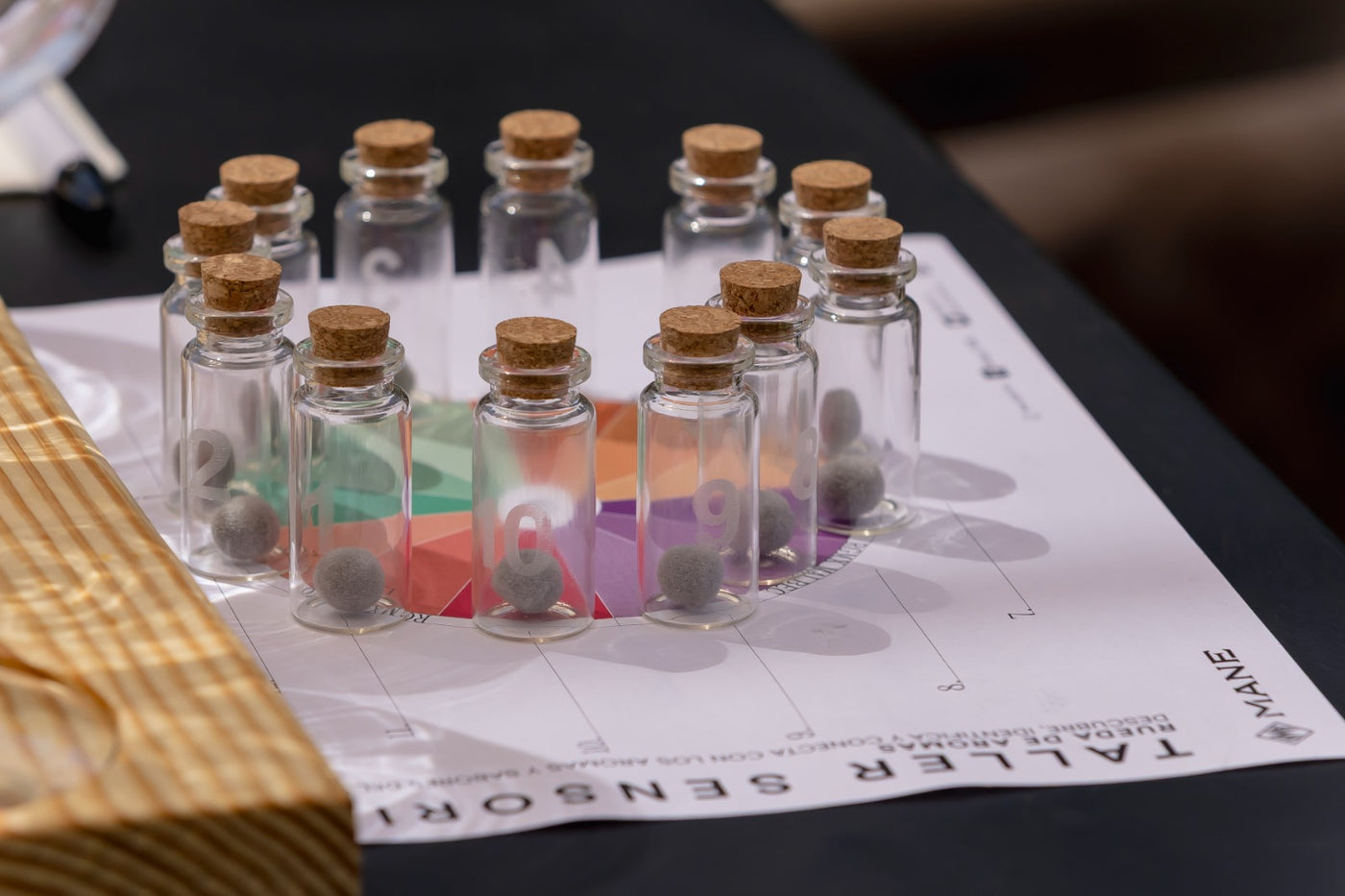 TALLER SENSORIAL RGMX