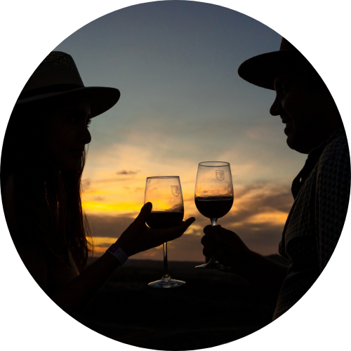 Barra libre de vino
