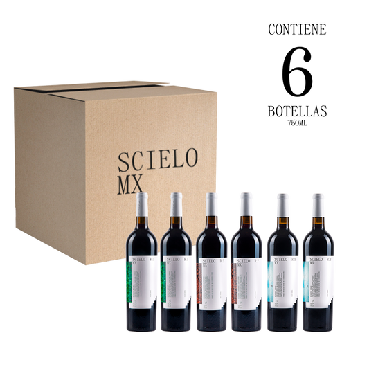 Mix Scielo Reservas 6 botellas