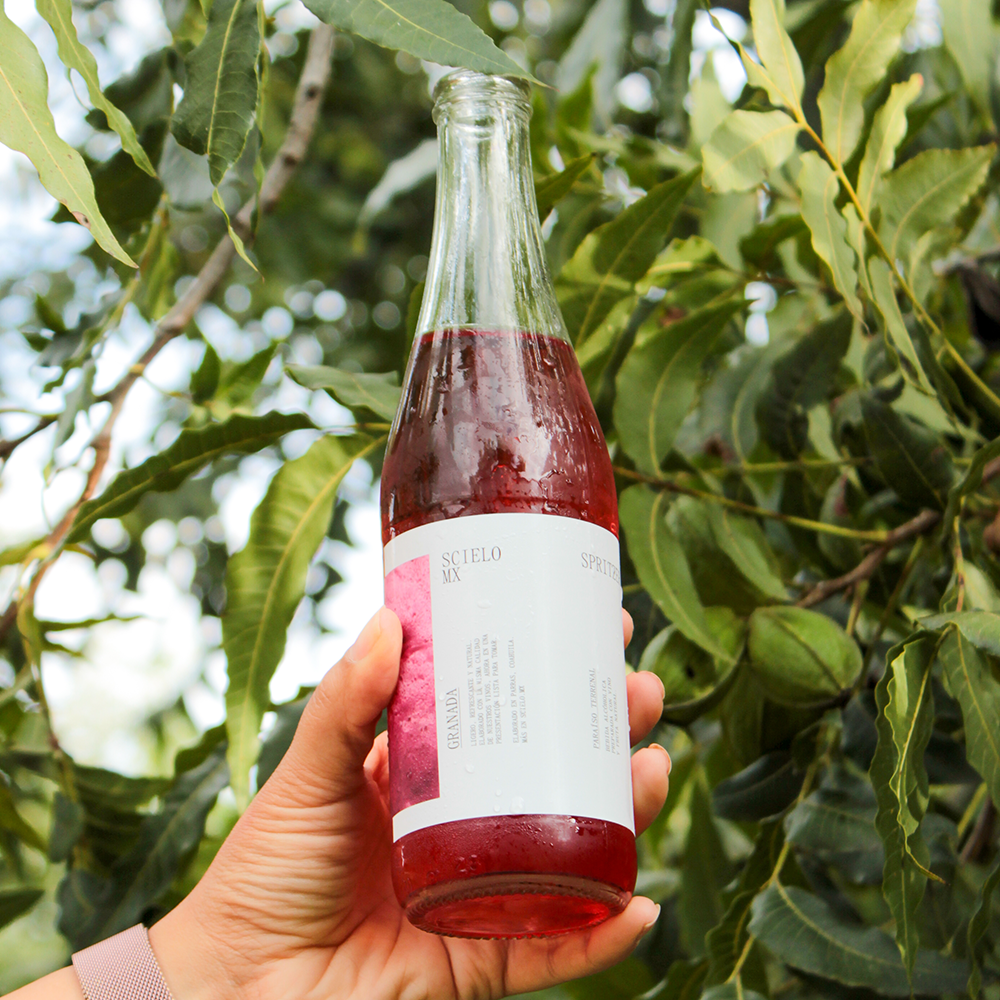 12 Pack Spritzer Mixto