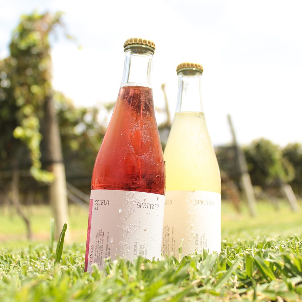 12 Pack Spritzer Granada