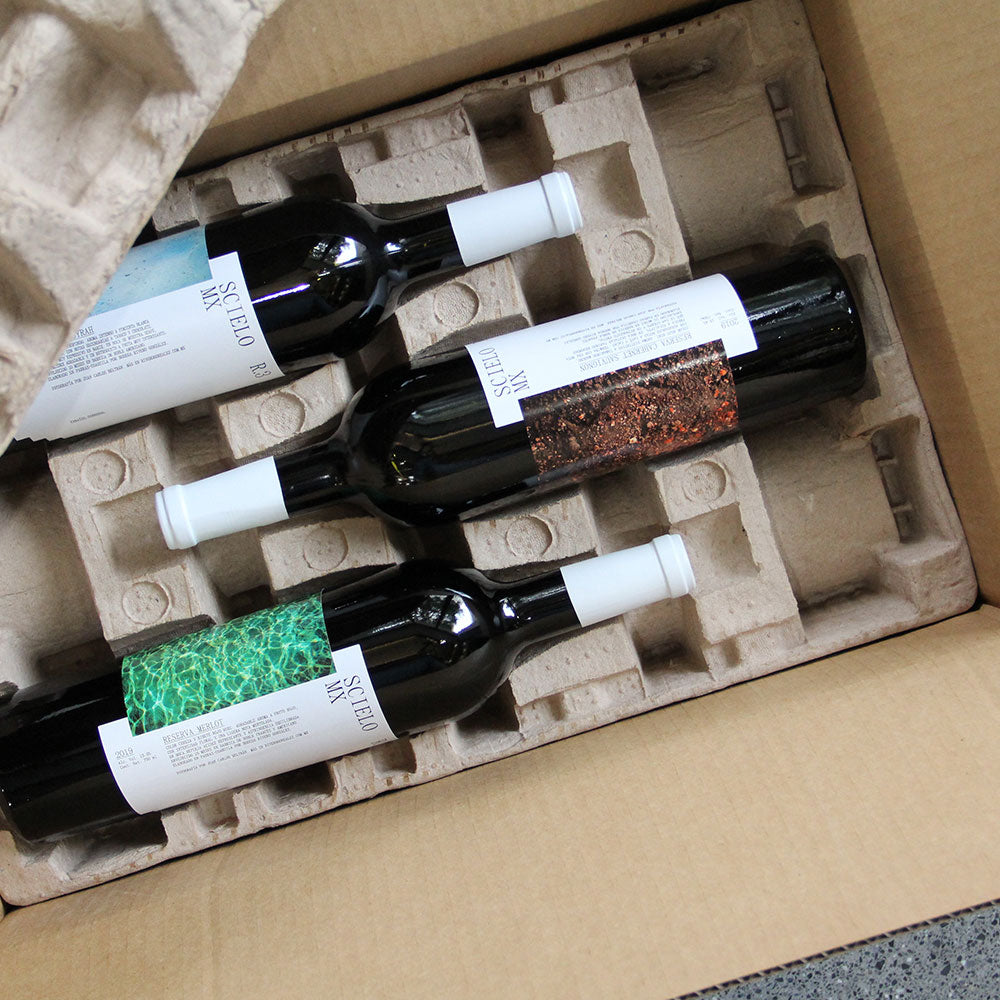 Mix Scielo Reserves 12 bottles