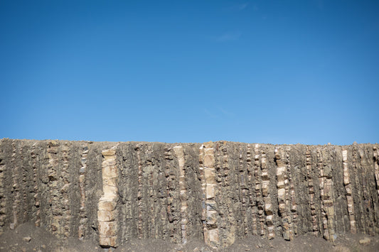 Tipos de Suelo en el Valle de Parras