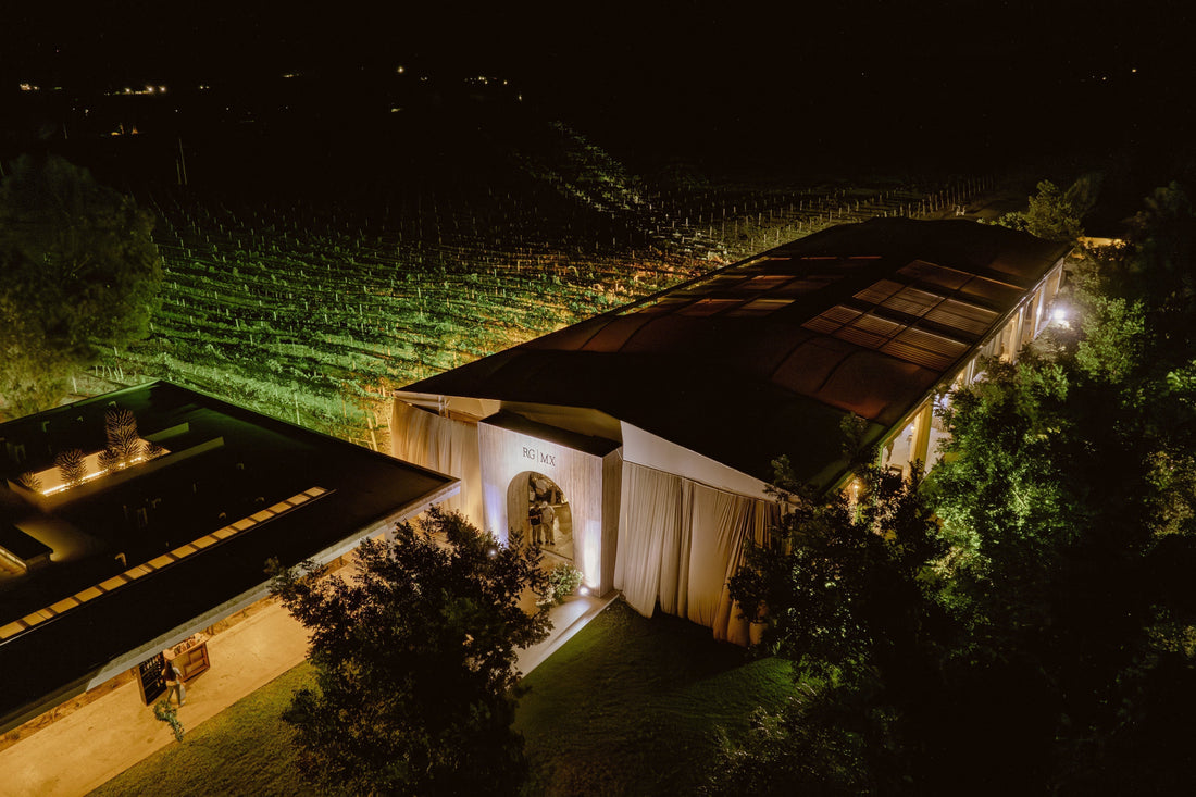 Así fue nuestro 2025