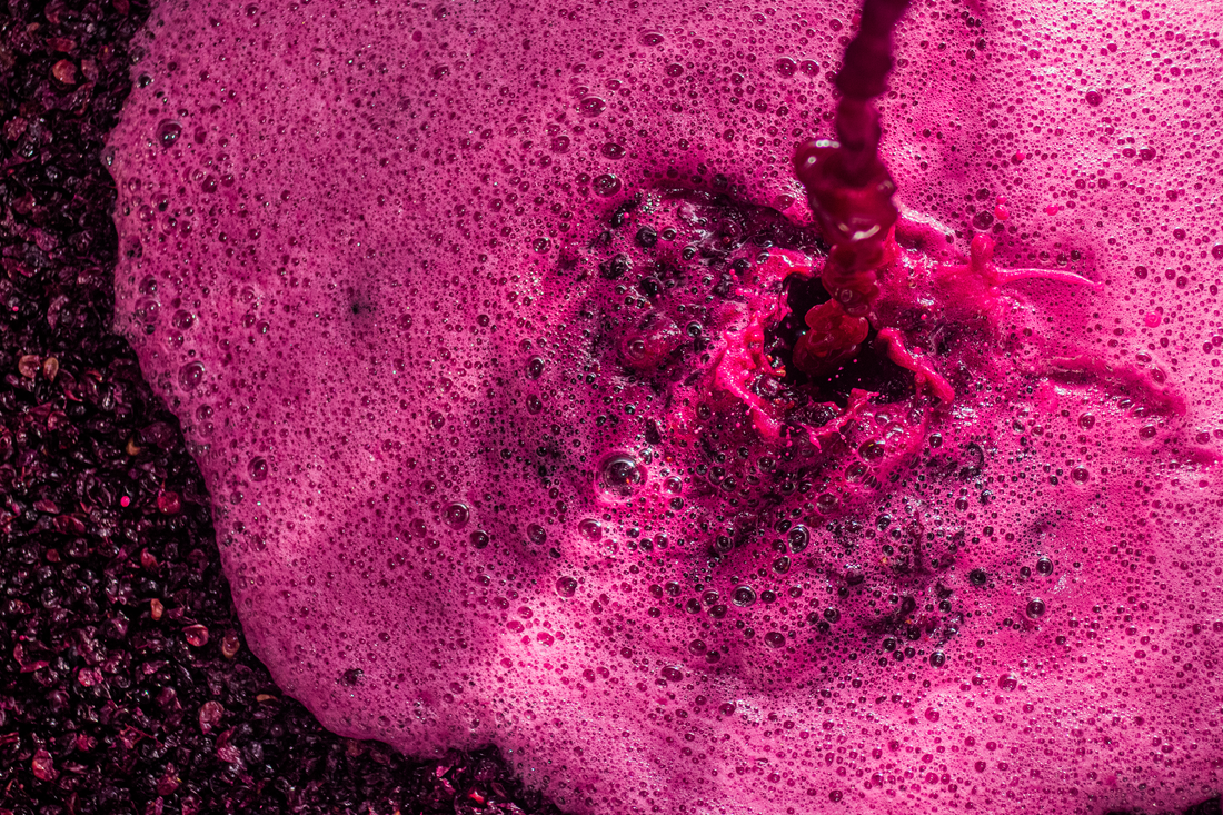Día del vino mexicano