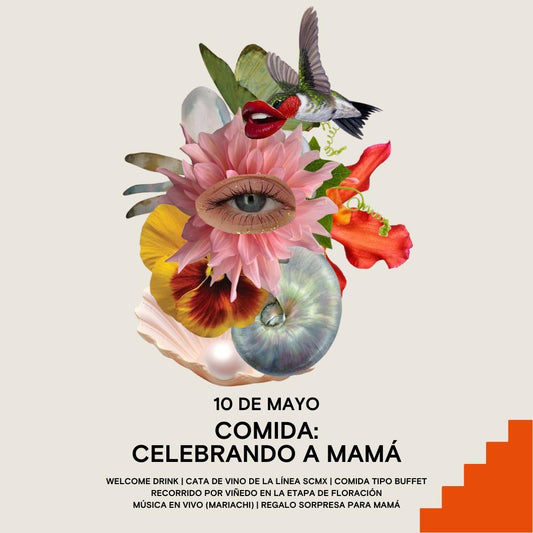 COMIDA: CELEBRANDO A MAMA