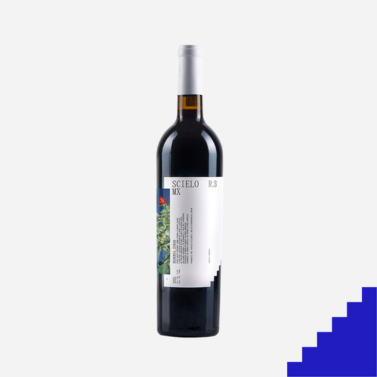SCIELO MX R3 Syrah