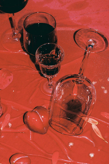 SCIELO MX R2 Cabernet Sauvignon