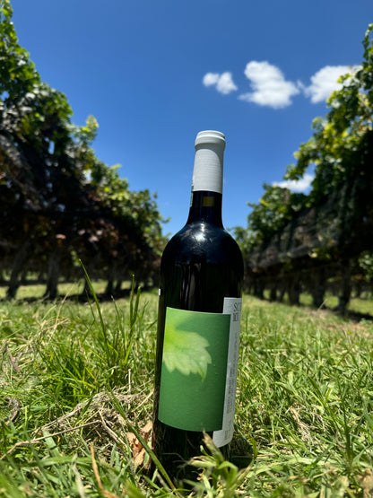SCIELO MX R1 Merlot