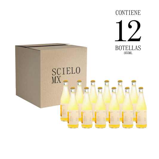 12 Pack Spritzer Durazno