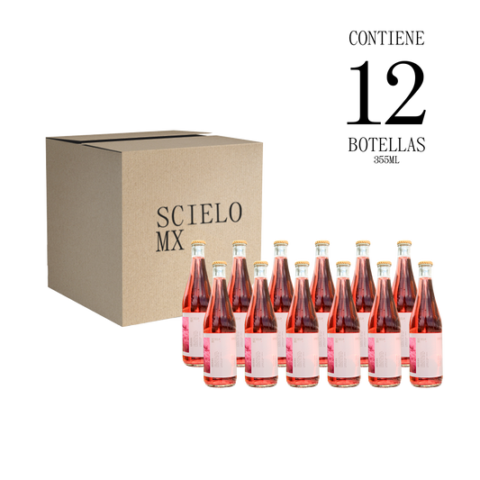 12 Pack Spritzer Granada