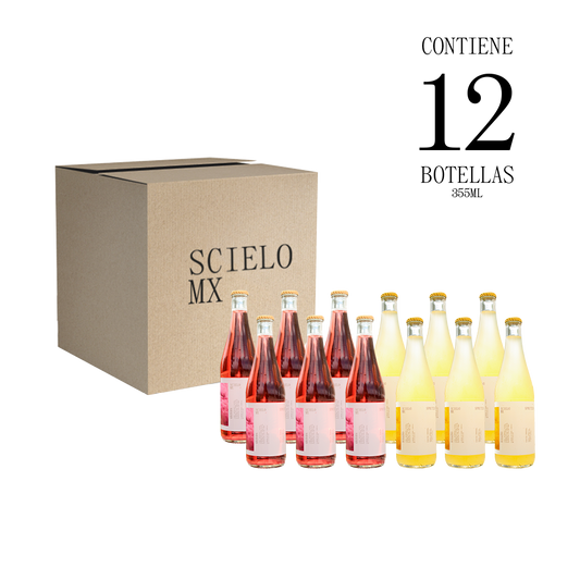 12 Pack Spritzer Mixto