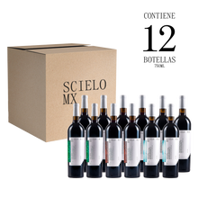 Load image into Gallery viewer, Mix Scielo Reserves 12 bottles
