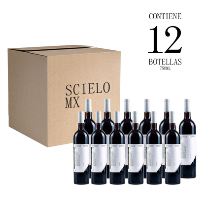 Scielo Red 2020 Box 12 Bottles