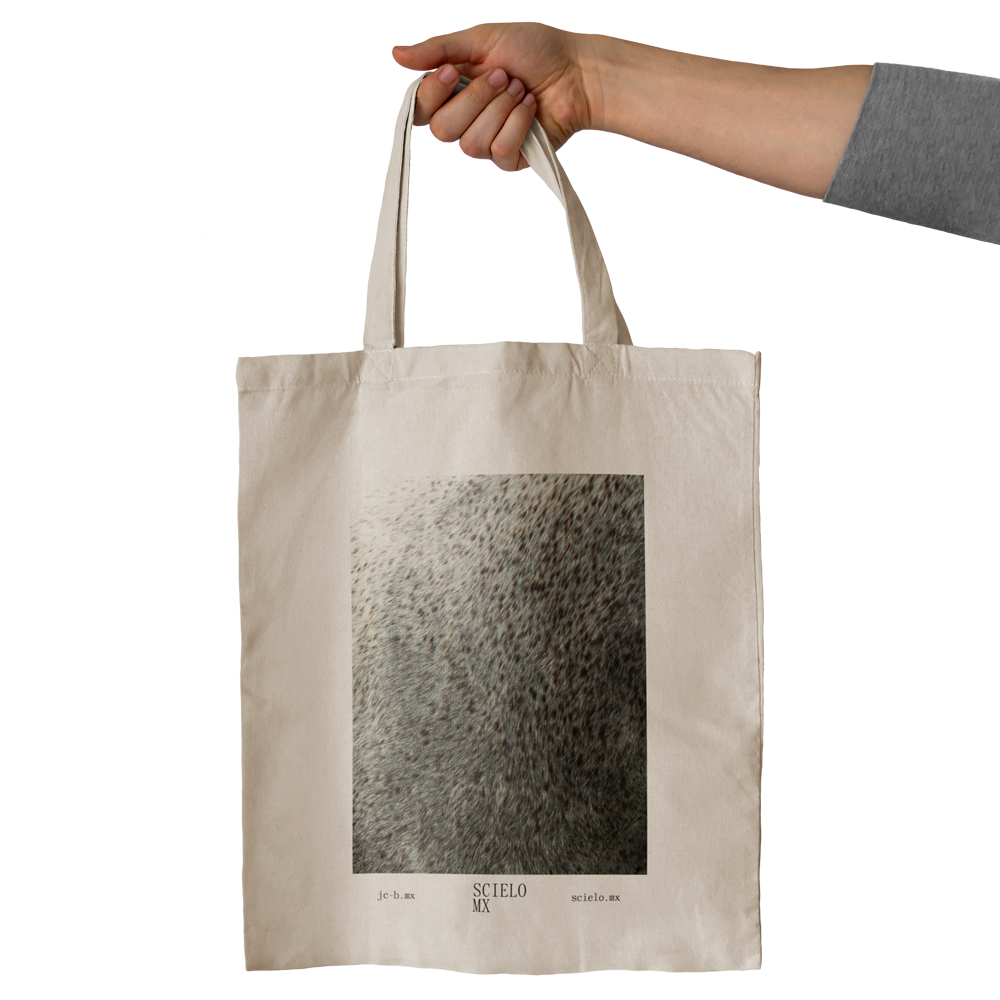 Tote Bag Scielo Mx Blanco