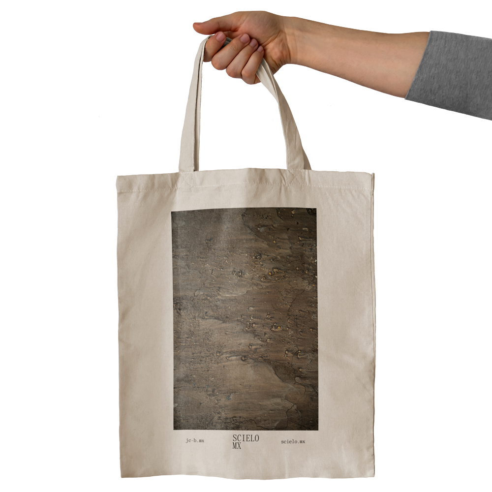 Tote Bag Scielo Mx Tinto